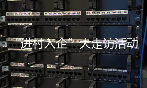 “進(jìn)村入企”大走訪活動(dòng)問(wèn)題交辦會(huì)召開(kāi)
