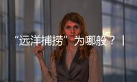 “遠洋捕撈”為哪般？丨法眼