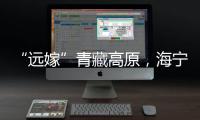 “遠嫁”青藏高原，海寧春日鮮味8月也能吃到！