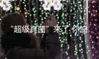 “超級真菌”來了 你怕了嗎？—新聞—科學網