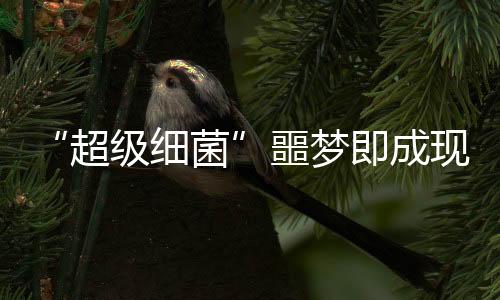 “超級細菌”噩夢即成現實 “最后抗生素防線”對其無效