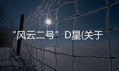 “風云二號”D星(關于“風云二號”D星簡述)