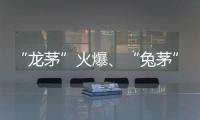 “龍茅”火爆、“兔茅”價格已崩 生肖酒，喝否？