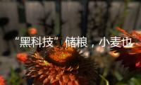 “黑科技”儲糧，小麥也能“凍齡”！