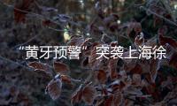 “黃牙預警”突襲上海徐家匯！竟然是華晨宇來拯救？【健康】風尚中國網