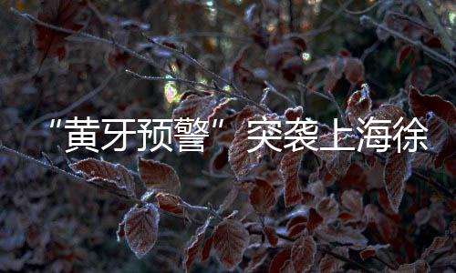 “黃牙預(yù)警”突襲上海徐家匯！竟然是華晨宇來拯救？【健康】風(fēng)尚中國網(wǎng)