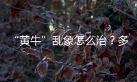 “黃牛”亂象怎么治？多地出實(shí)招規(guī)范票務(wù)市場(chǎng)