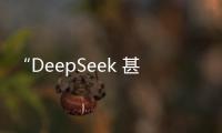 “DeepSeek 甚至繞過了英偉達 CUDA”，論文細節再引熱議