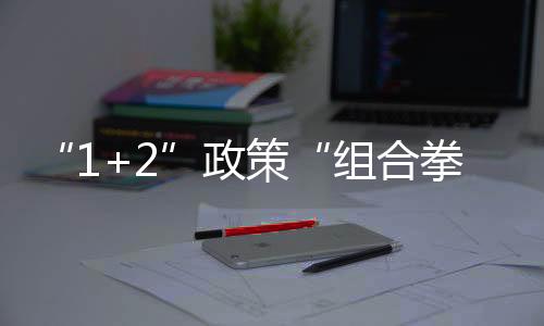 “1+2”政策“組合拳”為中小企業發展再添良方