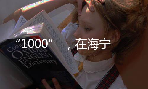 “1000” ,在海寧辦這事“靈的”