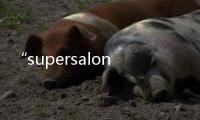 “supersalone”的樹林與意大利創作歌手Marco Mengoni的共鳴（組圖）