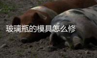 玻璃瓶的模具怎么修  如何修復(fù)擋風(fēng)玻璃,行業(yè)資訊