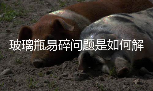 玻璃瓶易碎問題是如何解決的,經驗交流
