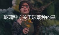 玻璃種（關于玻璃種的基本情況說明介紹）