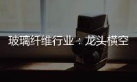 玻璃纖維行業：龍頭橫空出世,行業資訊