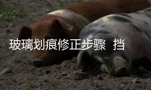 玻璃劃痕修正步驟  擋風玻璃裂縫怎樣修正,行業(yè)資訊