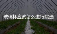 玻璃杯應該怎么進行挑選  有哪些種類的玻璃瓶罐呢,行業(yè)資訊