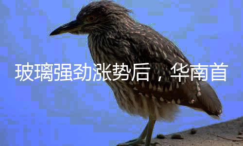 玻璃強(qiáng)勁漲勢(shì)后，華南首現(xiàn)下行走勢(shì),市場(chǎng)研究