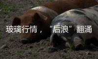 玻璃行情，“后浪”翻涌,行業會議