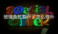 玻璃魚缸裂開了怎么修補  玻璃門裂了怎么修補,行業資訊