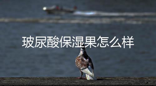 玻尿酸保濕果怎么樣
