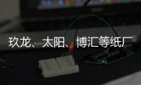 玖龍、太陽、博匯等紙廠集體漲價200元/噸