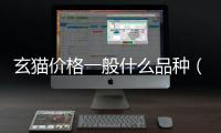 玄貓價格一般什么品種（玄貓多少錢一只）