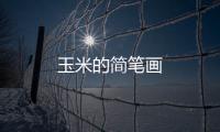 玉米的簡筆畫