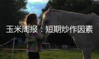玉米周報：短期炒作因素較多，盤面維持看空觀點