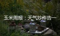 玉米周報：天氣炒作告一段落，關注新作上市前產區惜售情緒