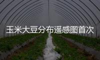 玉米大豆分布遙感圖首次服務(wù)秋糧產(chǎn)量預(yù)測(cè)
