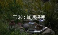 玉米：加速探底