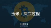 玉米：探底過程