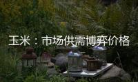 玉米：市場供需博弈價格或區(qū)間內(nèi)窄幅波動