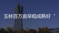 玉林百萬畝早稻成熟好“豐”景 機械化助力糧滿倉