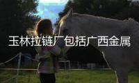 玉林拉鏈廠包括廣西金屬拉鏈廠家的詳細情況