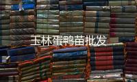 玉林蛋鴨苗批發(fā)