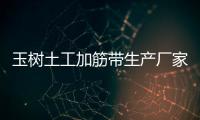 玉樹土工加筋帶生產(chǎn)廠家