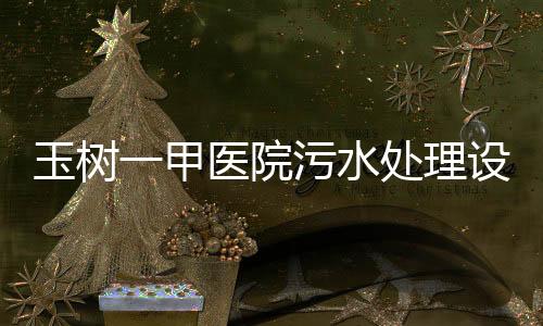 玉樹一甲醫院污水處理設備