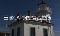 玉溪CAT鋼塑復合拉筋帶廠家采購供應(yīng)
