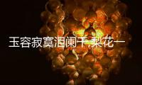 玉容寂寞淚闌干,梨花一枝春帶雨是什么意思（玉容寂寞淚闌干）