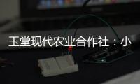 玉堂現(xiàn)代農(nóng)業(yè)合作社：小秸稈釋放大能量