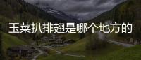 玉菜扒排翅是哪個地方的菜