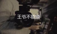 王爺不能撩