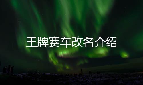 王牌賽車改名介紹