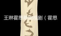 王琳霍思燕電視劇（霍思燕電視劇）