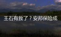 王石有救了？安邦保險成萬科隊友 將攜手對抗寶能系