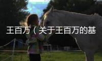 王百萬（關(guān)于王百萬的基本情況說明介紹）