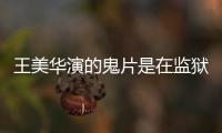 王美華演的鬼片是在監(jiān)獄里出來的（王美華演的鬼片是在監(jiān)獄里）