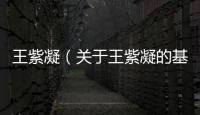 王紫凝（關(guān)于王紫凝的基本情況說明介紹）
